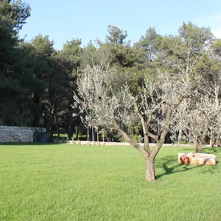Villa Eda *